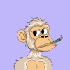 mojo-apes