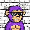 archie-apes