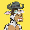 lazy-bull-club-2