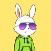 rabbits