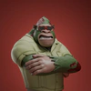 gs-on-ape