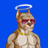 alpha-dogs
