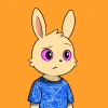 rabbits