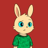 rabbits