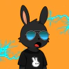 rabbits