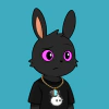rabbits