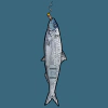 fishies