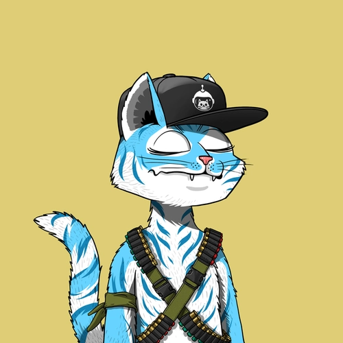 Token #9884