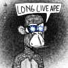 ape-maxi-biz