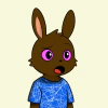 rabbits
