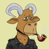 lazy-bull-club-2