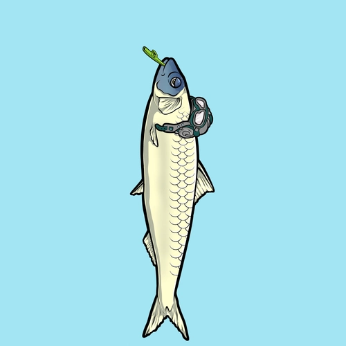 Token #4380