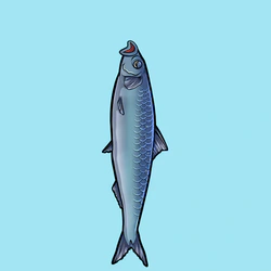 Fishies
