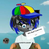 apetardio-5