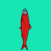 fishies