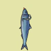 fishies