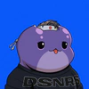 dsnrs