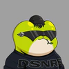 dsnrs