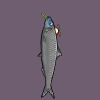fishies