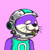 otterful-otters