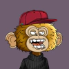 jimmy