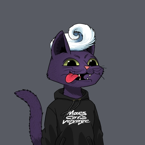 Token #2455