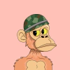 mojo-apes