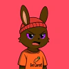 rabbits