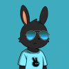 rabbits