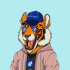 typical-tigers