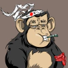 minties-the-lost-gorillas
