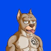 alpha-dogs