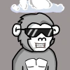 archie-apes
