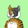 typical-tigers