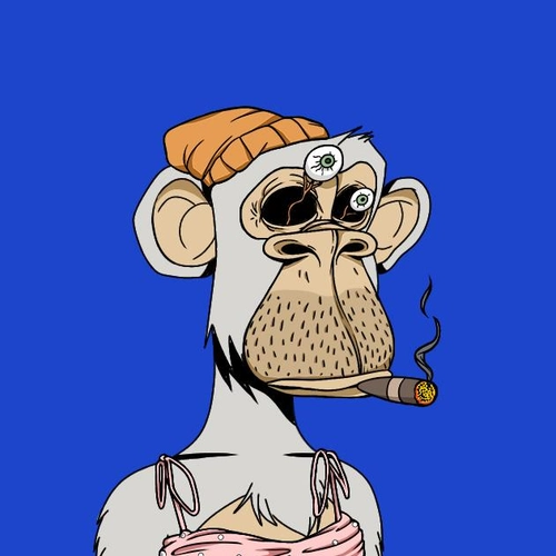 Token #6493