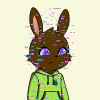 rabbits