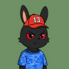 rabbits