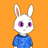 rabbits