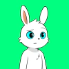 rabbits