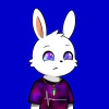 rabbits