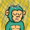 archie-apes