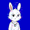 rabbits