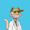 mars-cats-voyage