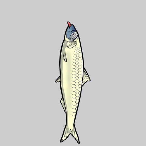 Token #2740