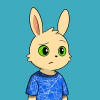 rabbits
