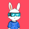 rabbits