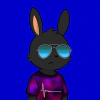 rabbits