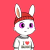 rabbits