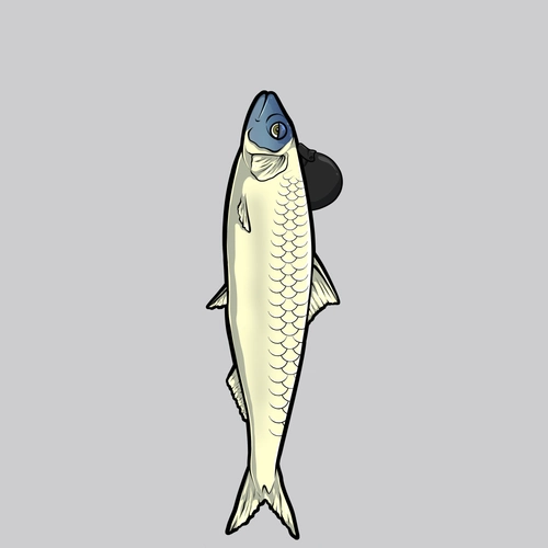 Token #220