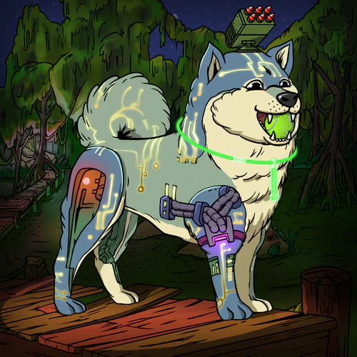 Token #1564